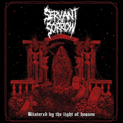 Blistered by the Light of Heaven