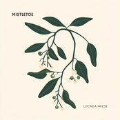 Mistletoe