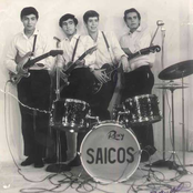 los saicos