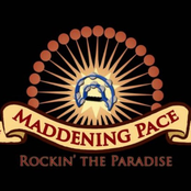 Rockin' The Paradise