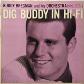 Dig Buddy In Hi-Fi