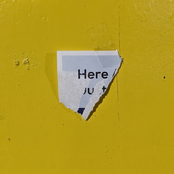 where do we go from here