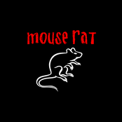 Mouse Rat