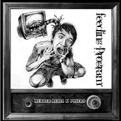 Feeding Program - Split EP