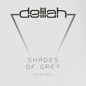 Shades of Grey (Remixes)