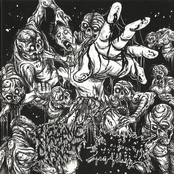 BruceXCampbell / Pyogenic Cystclot