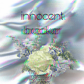 innocent breaker