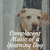 Complacent Music of a Yearning Dog