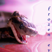 frozen eyes