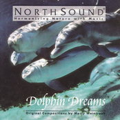 Dolphin Dreams