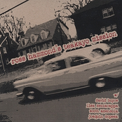 Ross Hammond's Teakayo Mission