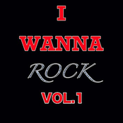 I Wanna Rock