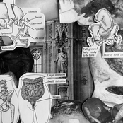 Transfeminine Superiority Electronics