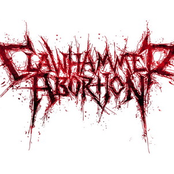 clawhammer abortion