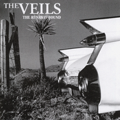 The Tide That Left And Never Came Back by The Veils
