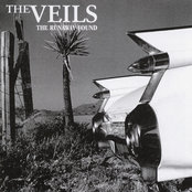 Lavinia by The Veils