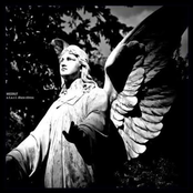 a.t.a.r.i. disco stress