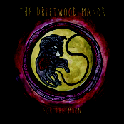 For The Moon
