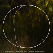 Ghost in a Shell (Tee Vera Jungle Remix)