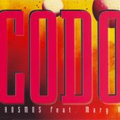 Codo