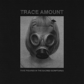 Fake Figures in the Sacred Scriptures