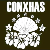 os conxhas