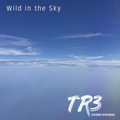 TR3: Wild in the Sky