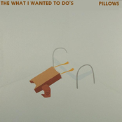 Pillows