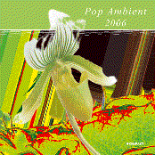 Pop Ambient 2006