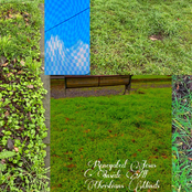 Renegated Jesus Inside All Christians Minds