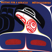 Bruce Cockburn: Waiting for a Miracle
