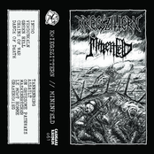 Split // Kriegszittern