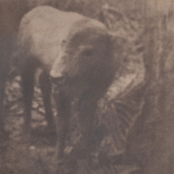 Lonesome For A Storm