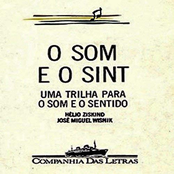 O Som e o Sint (Uma Trilha para o Som e o Sentido)