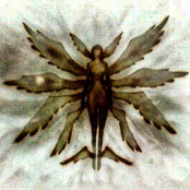 Te Quero Aqui Agora Mas Aqui Agora Não É O Lugar