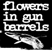 Flowers In Gun Barrels