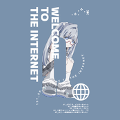 WELCOME TO THE INTERNET