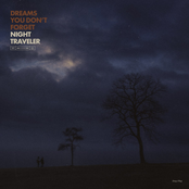 Night Traveler: Dreams You Don't Forget