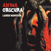 Anima obscura