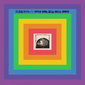 Witch Kids Seek Magic World