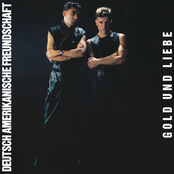 DAF – Gold Und Liebe
