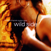 Wild Side by Jocelyn Pook