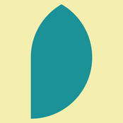 What's With All The Pine?