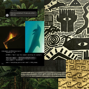 Chet Porter: EVERYTHING YOU'VE EVER SEEN