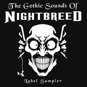 The Gothic Sounds Of Nightbreed