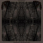 Celestiial & Blood Of The Black Owl (Split)