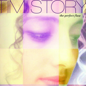 The Perfect Flaw by Tim Story
