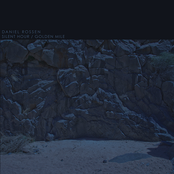 Daniel Rossen: Silent Hour / Golden Mile