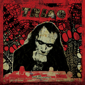 Pure Joy - Numb Grief-stricken Animals