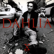 Dahlia by X Japan